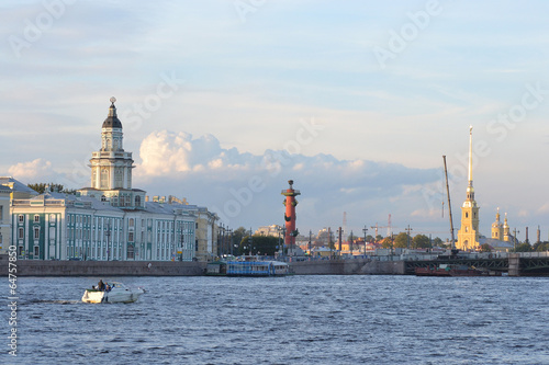 Cabinet of curiosities in St.Petersburg