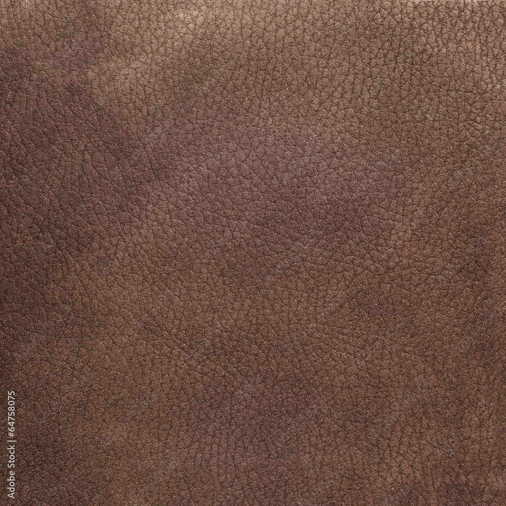 Fototapeta premium Brown leather