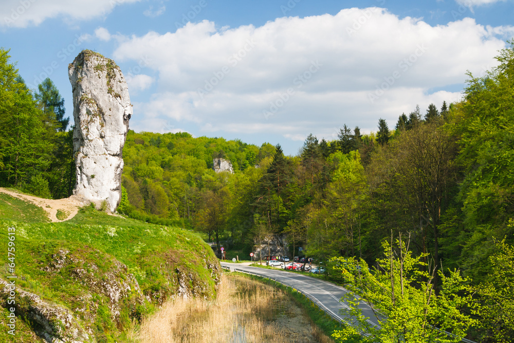 Obraz premium Maczuga Herkulesa, rock in National Ojcow Park, Poland