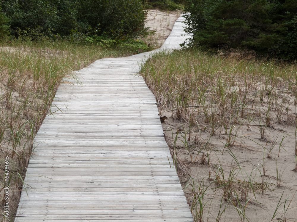Boardwalk passing through field, Quebec, Canada Boardwalk passing through field, Quebec, Canada