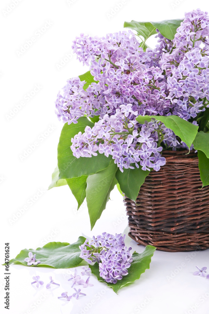 Lilac bouquet in a wicker basket - obrazy, fototapety, plakaty 