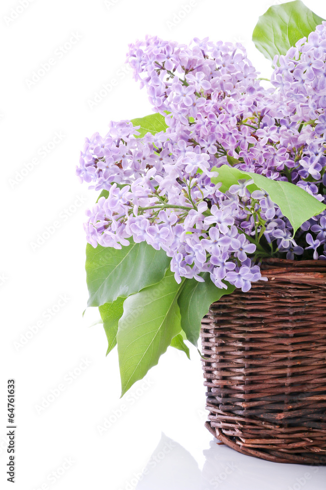 Naklejka premium Lilac bouquet in a wicker basket