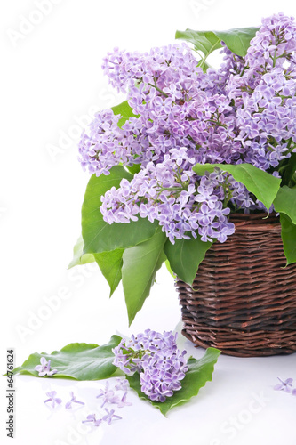 Lilac bouquet in a wicker basket