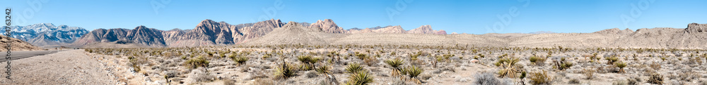 Cactus in desert, Death Valley National Park, California, USA