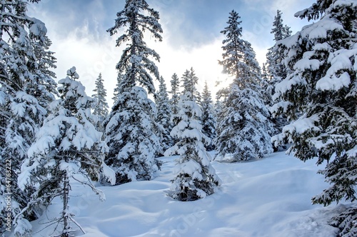 Beautiful Winter Scenery. Skiing Resort Zillertal Arena, Austria © eugen_z