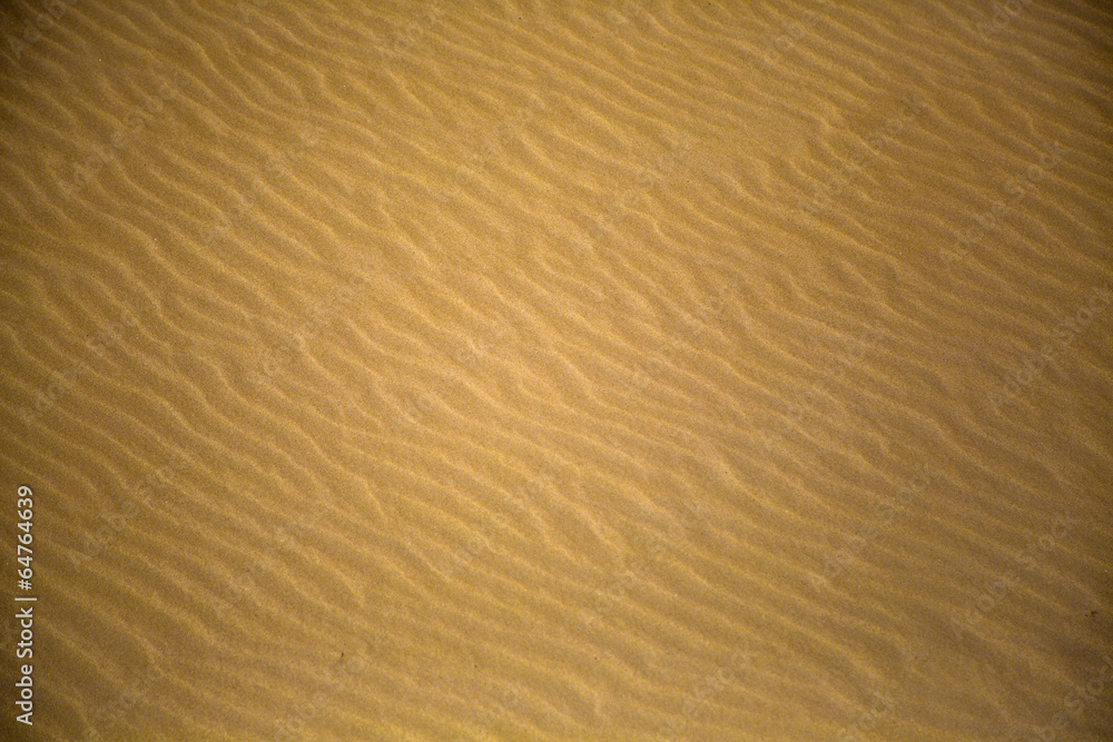 Obraz premium Desert sand