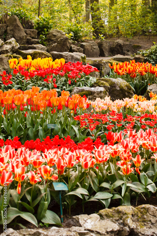 spring garden spring garden