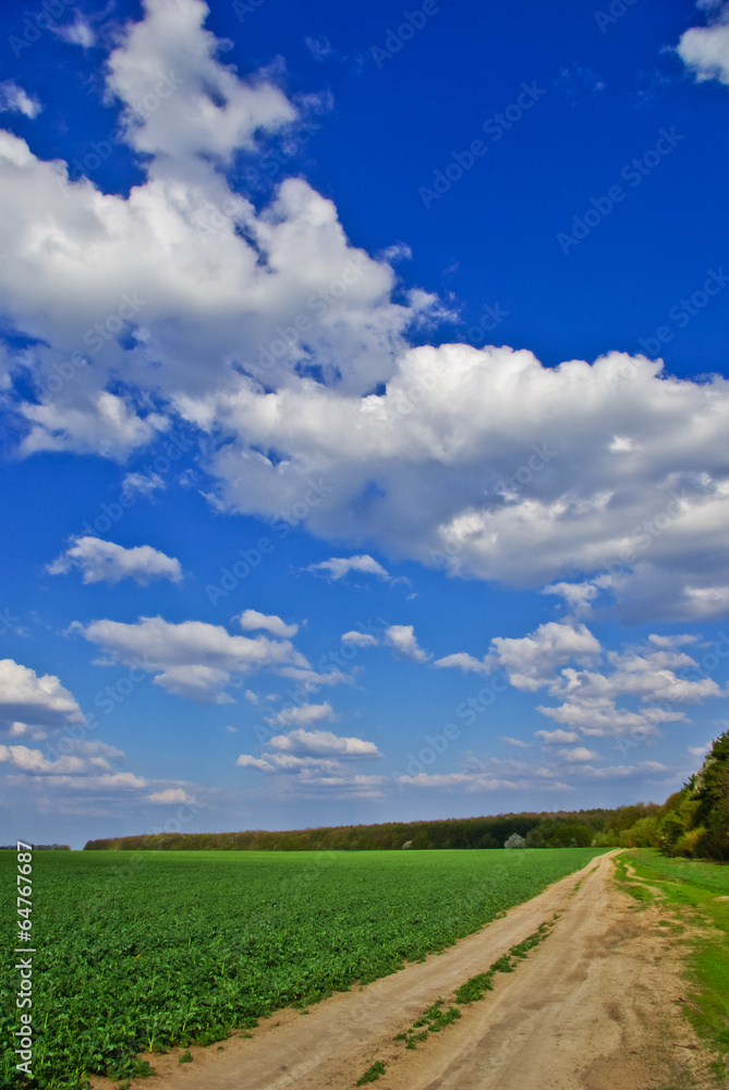 Green field,road,forest,on the background of the blue sky with