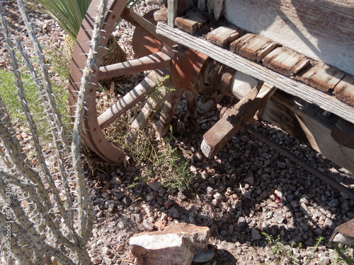 Wallpaper Mural Cactus growing near old wagon, Death Valley National Park, Calif Torontodigital.ca