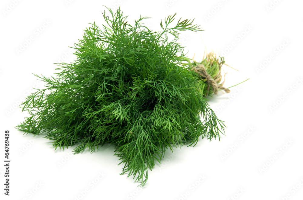 Fototapeta premium dill