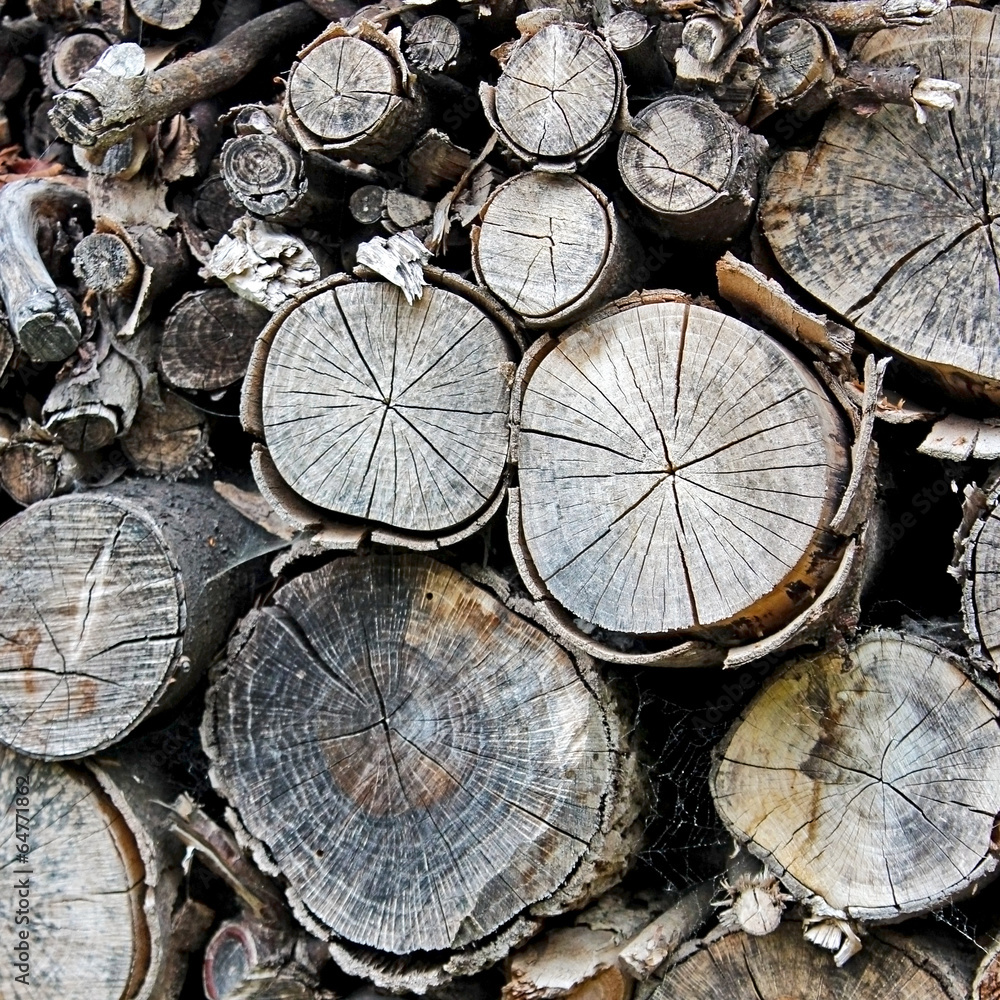 Naklejka premium bois de chauffage