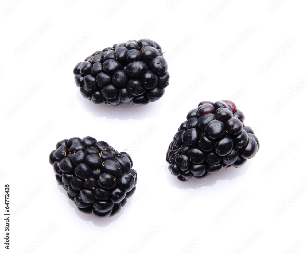 Three fresh blackberries Three fresh blackberries