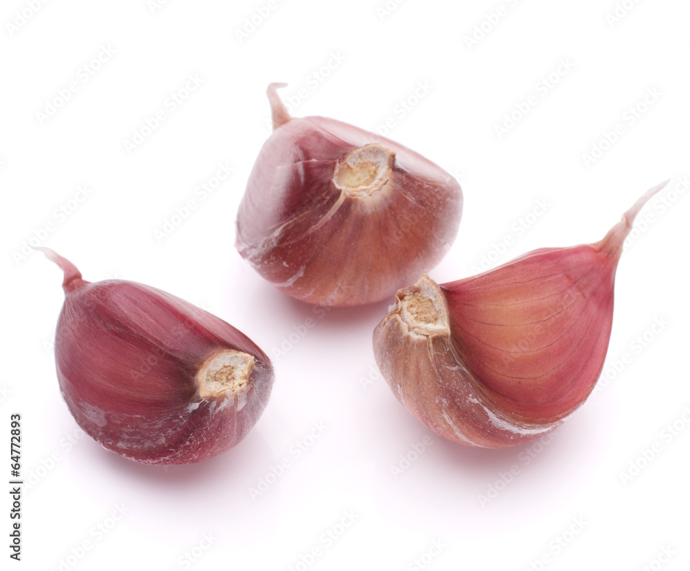 Fototapeta premium Garlic clove isolated on white background cutout