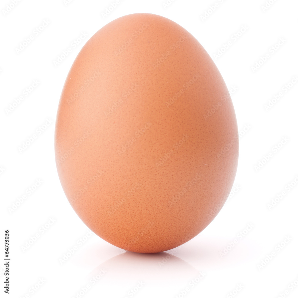 Egg isolated on white background cutout Egg isolated on white background cutout