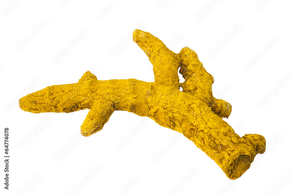 A Turmeric Root - Isolated on White. A Turmeric Root - Isolated on White.