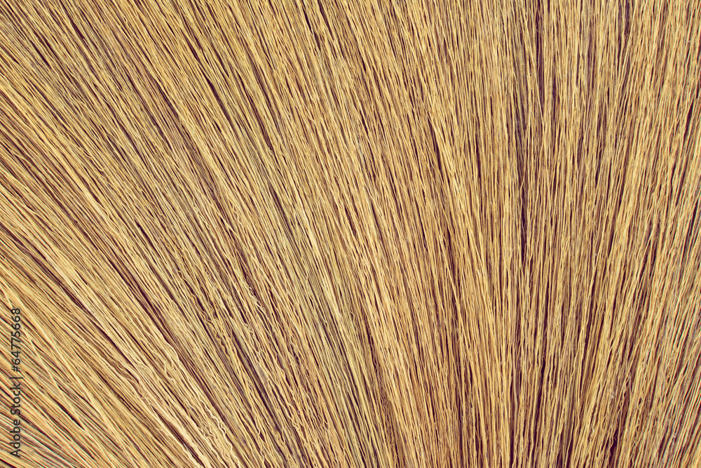 Close up detail of a broom texture. Grunge texture of dry grass Close up detail of a broom texture. Grunge texture of dry grass