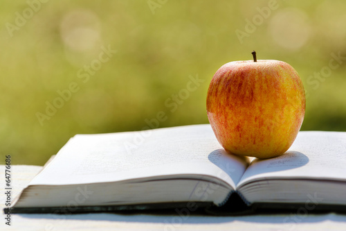 Apple on pile of book