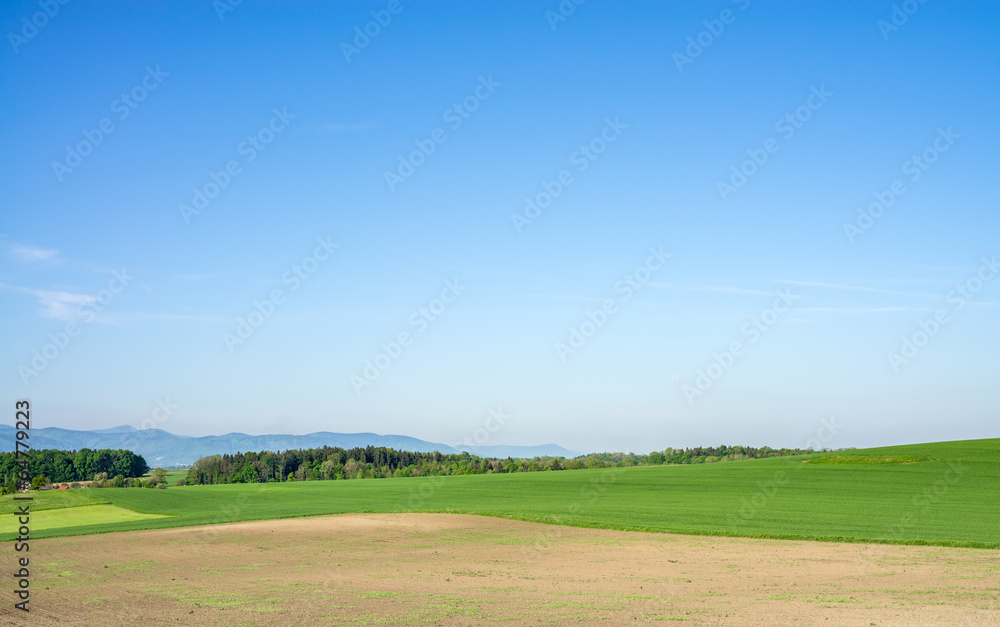 Field,meadow and clear blue sky.