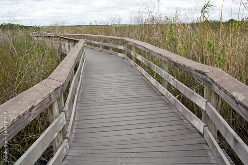 Everglades Nat. Park  Anhinga Trail
