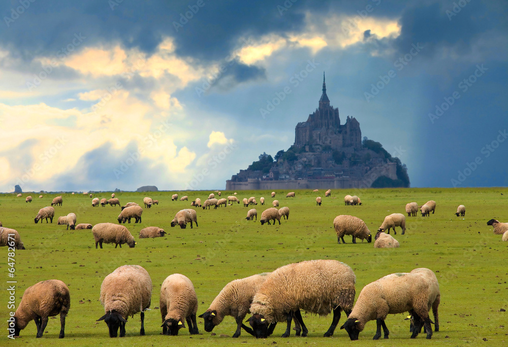 Fototapeta premium Mont saint Michel, Normandie