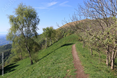 sentiero verso il monte Bolettone photo