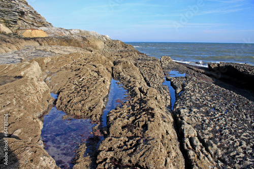 coast of Torquay photo