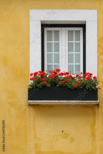 Lisbon window
