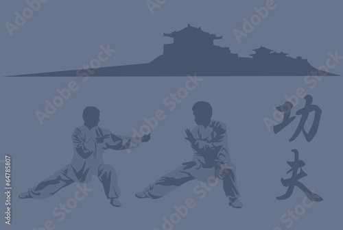 Fotografia, Obraz Fighting  art of kung fu