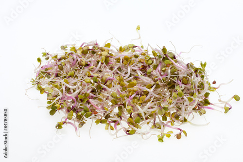 The healthy diet. Fresh sprouts isolated on white background