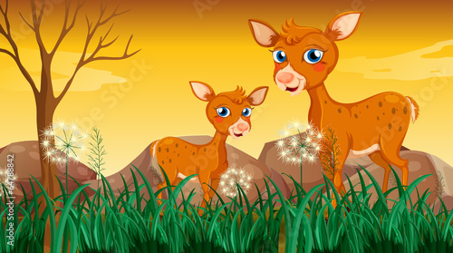 Two deers near the grass © GraphicsRF