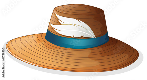 A brown hat with white feathers