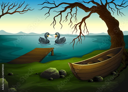 A boat under the tree near the sea with two ducks