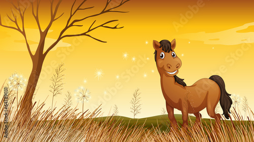 A smiling horse
