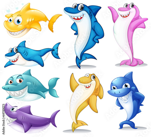 A group of colorful sharks