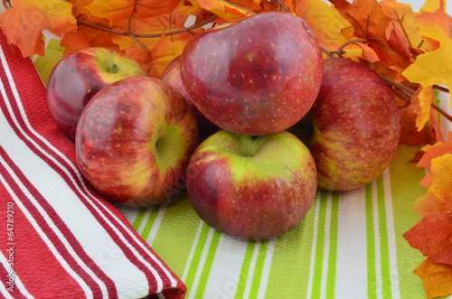 Ripe Cortland apples with an autumn display photo