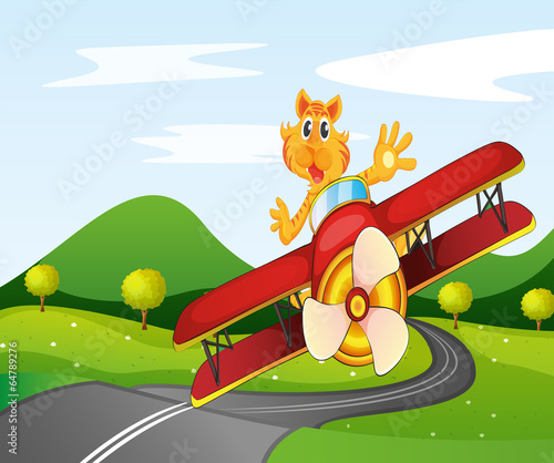 A tiger riding in a plane