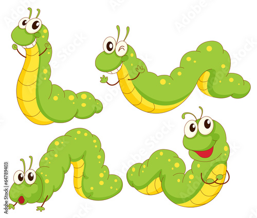 Four green caterpillars