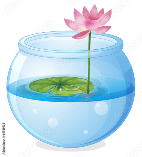An aquarium with a waterlily and a flower