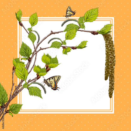 Background with birch branches and butterflies.