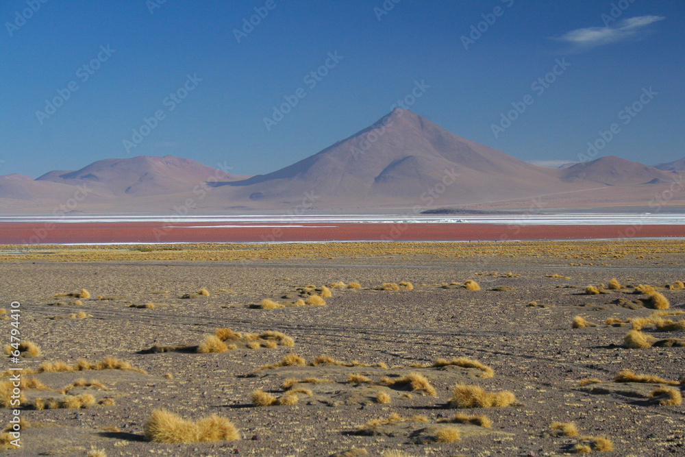 LAndscape | Laguna Colorado | Boliwian altiplano - obrazy, fototapety, plakaty 