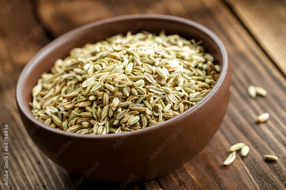 Fennel Fennel