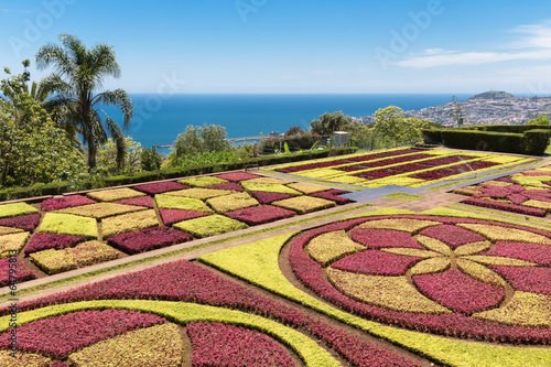 Botanical garden of Funchal at Madeira Island, Portugal