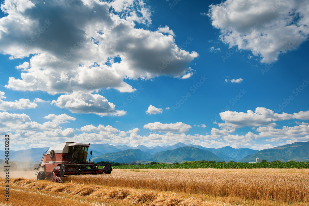 Obraz premium A red harvester in work with mountains in background