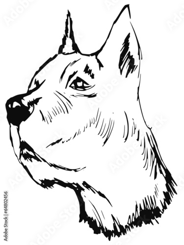 great dane