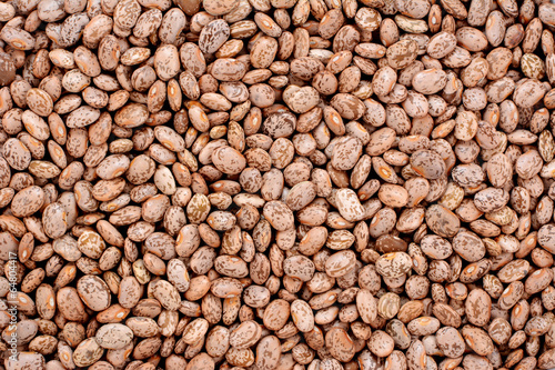 Obraz na plátně Pinto beans background
