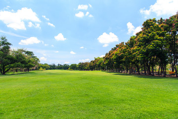 Park