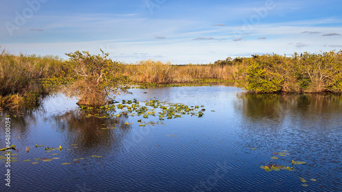 Fototapeta Naklejka Na Ścianę i Meble -  Everglades Panorama