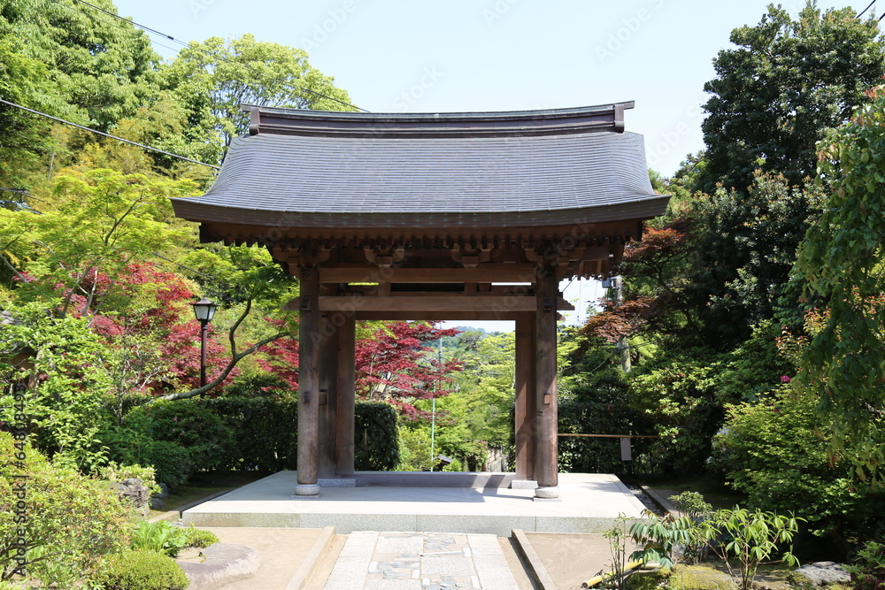 Obraz premium Traditional Japanese Architecture