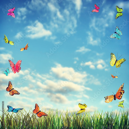 Bright summer background with butterflies and grass