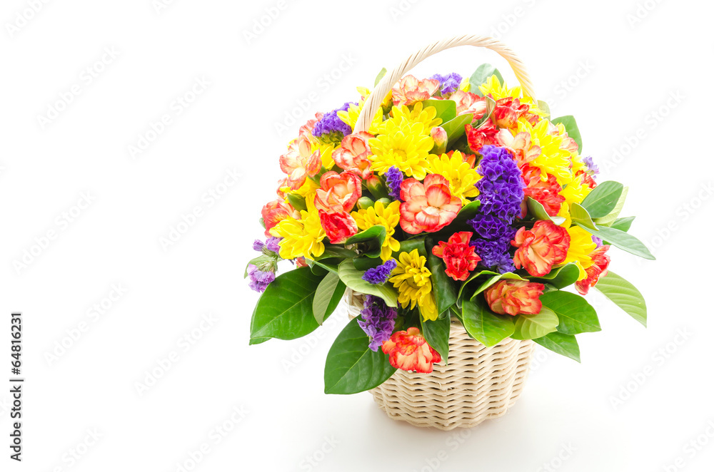 Obraz premium Flower